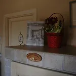 Il Cenerino