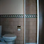 Il Cenerino